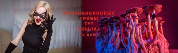 MDMA Premium VHQ Белокуриха