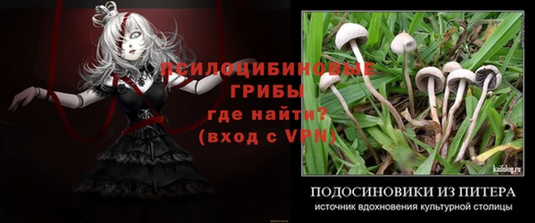 MDMA Premium VHQ Белокуриха