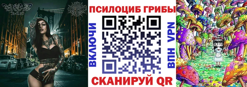 Псилоцибиновые грибы Cubensis  Мглин 